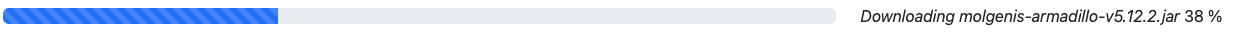 armadillo_update_download_jar.png