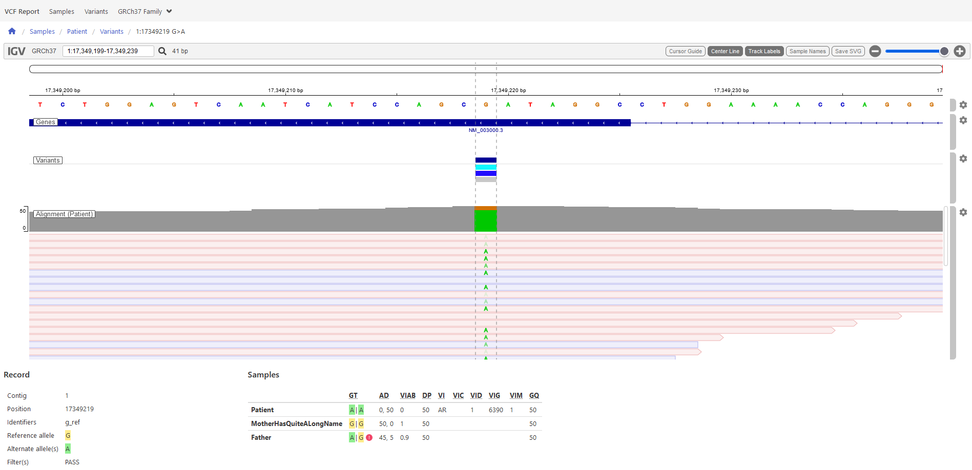 Example report